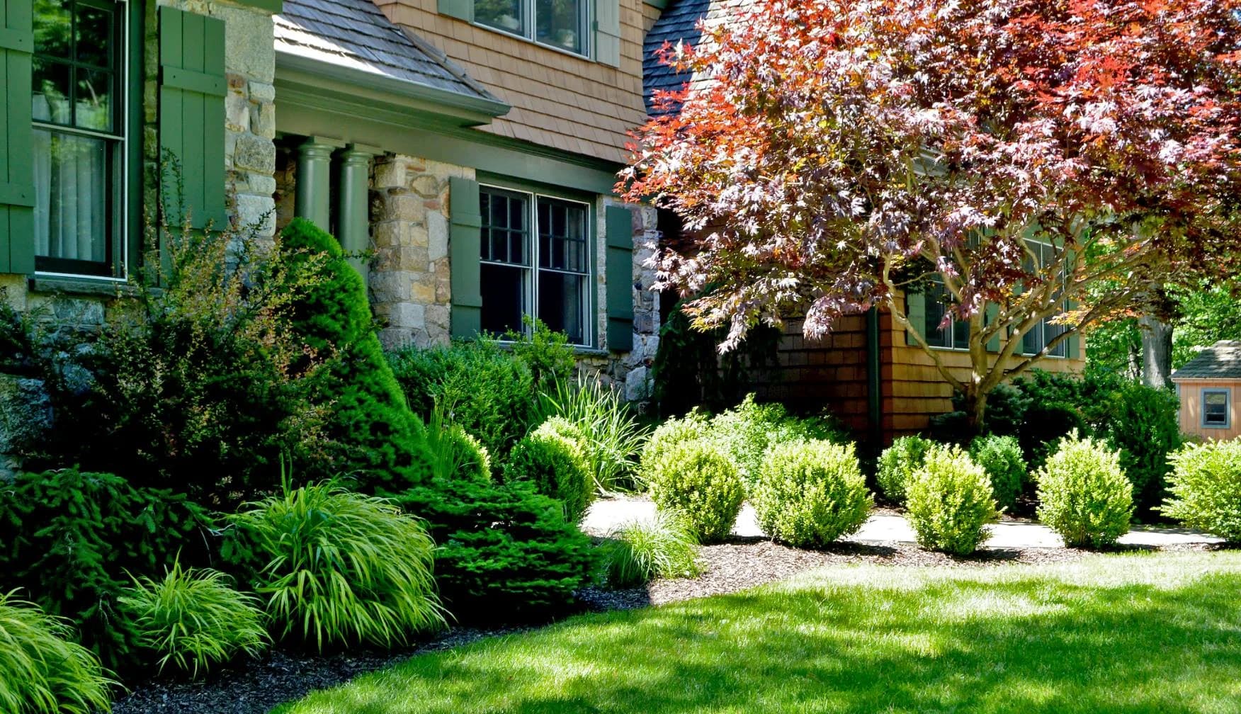 Tree & Shrub Planting Services in Madison, WI