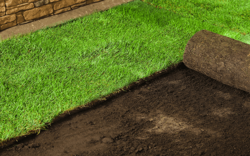 Sod Installation Services in Madison, WI